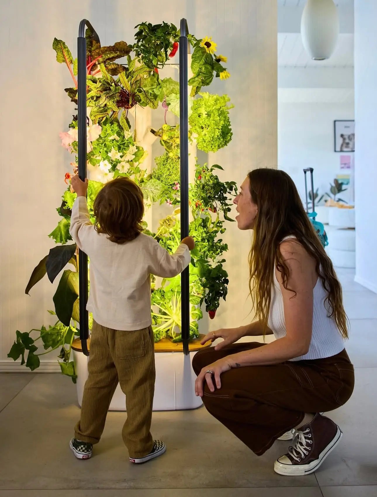 SMART GROW POD