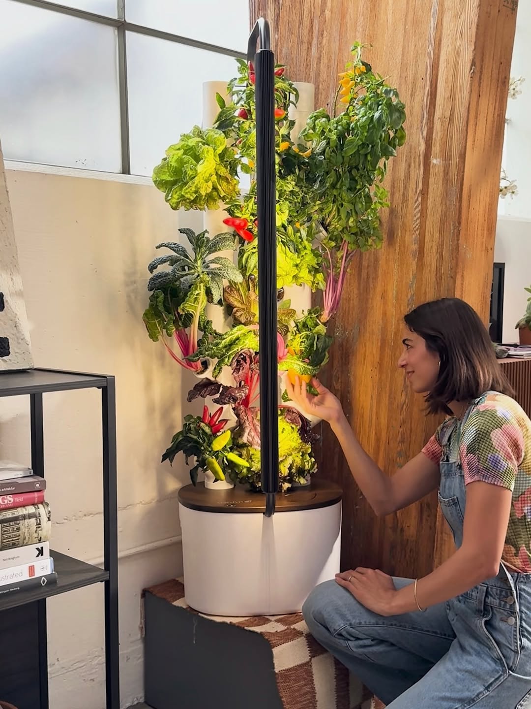 SMART GROW POD