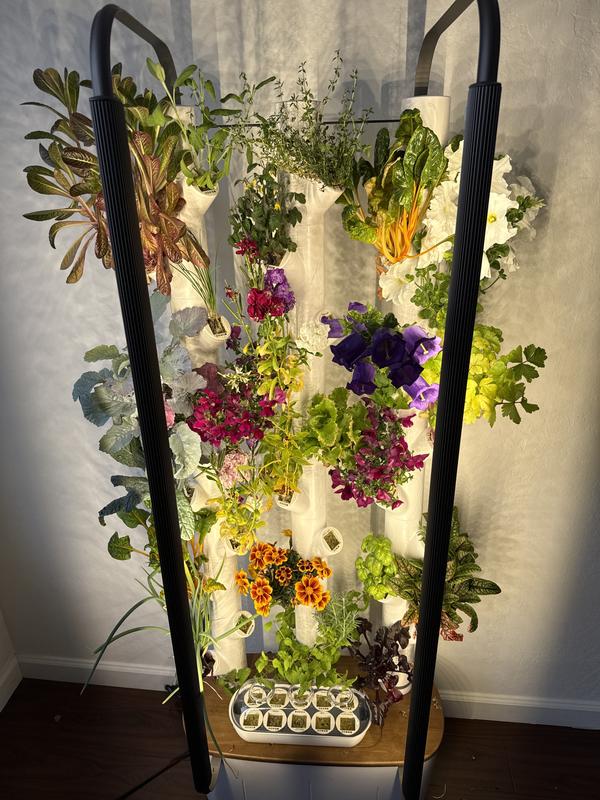 SMART GROW POD